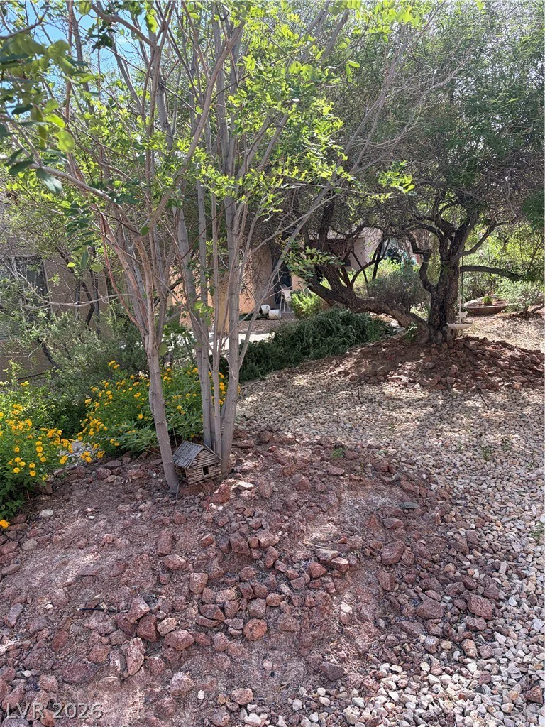 6131 Saddle Horse, Las Vegas, NV 89122