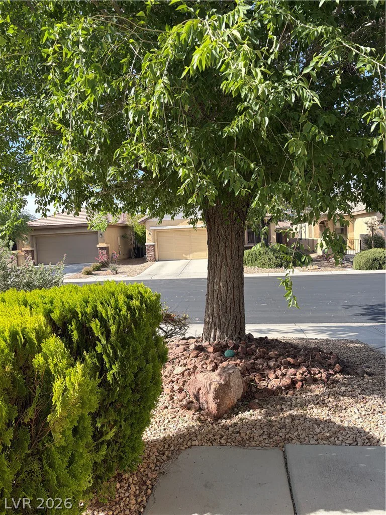 6131 Saddle Horse, Las Vegas, NV 89122