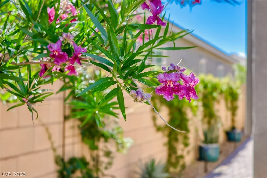 80 Tatahatso Point, Henderson, NV 89011