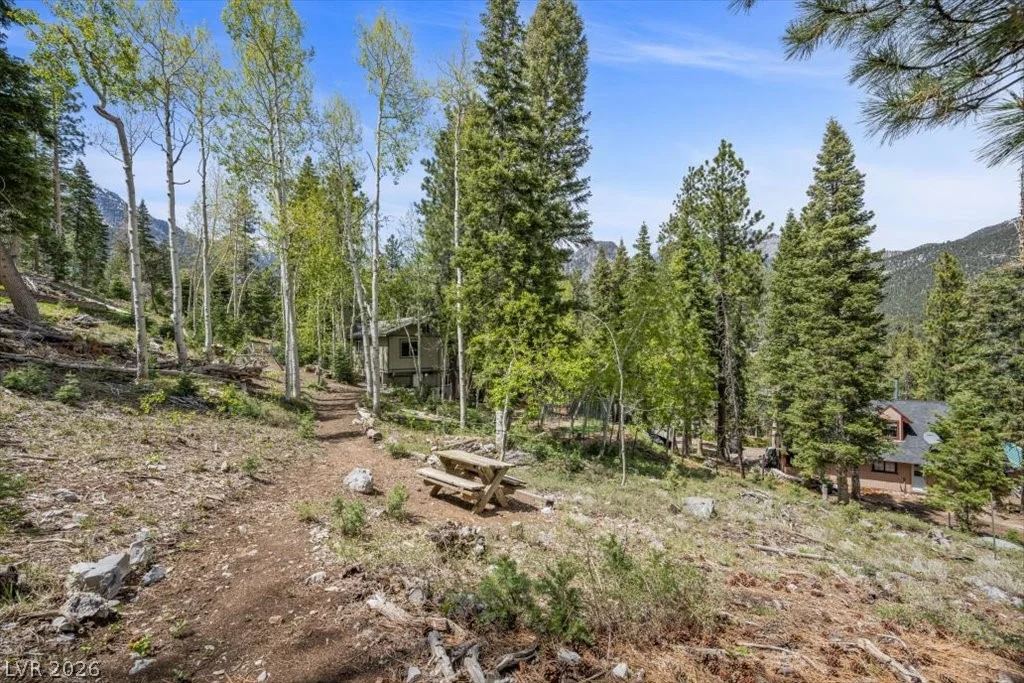 4125 Tyrol, Mount Charleston, NV 89124