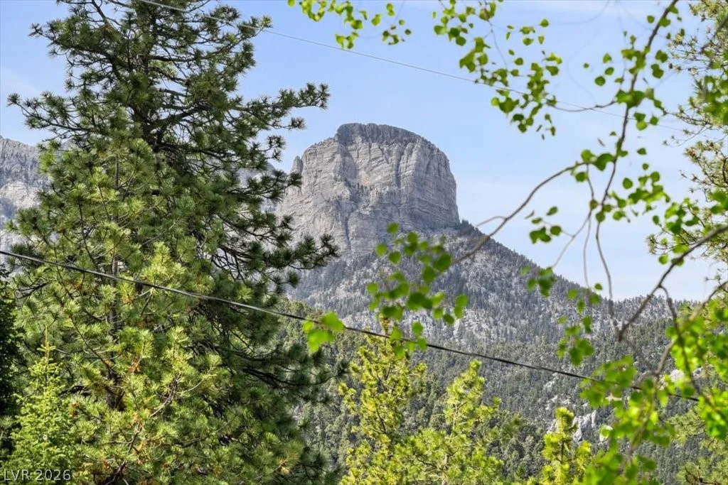 4125 Tyrol, Mount Charleston, NV 89124