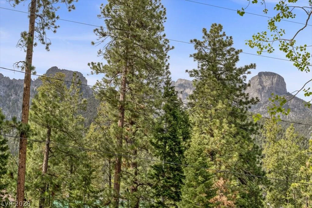 4125 Tyrol, Mount Charleston, NV 89124