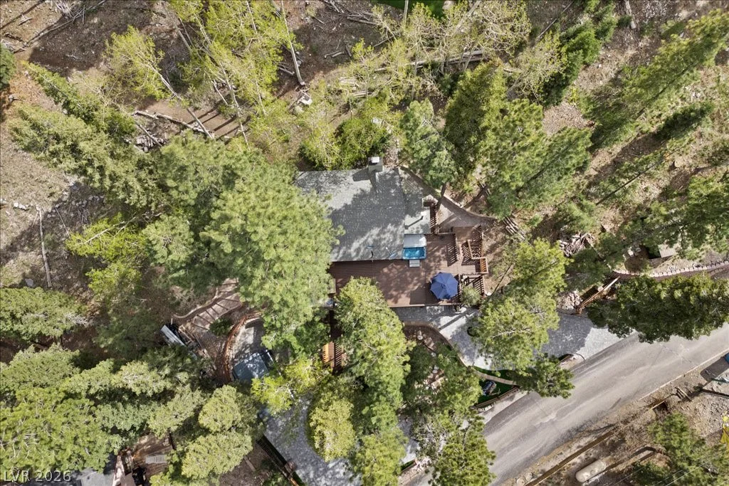 4125 Tyrol, Mount Charleston, NV 89124
