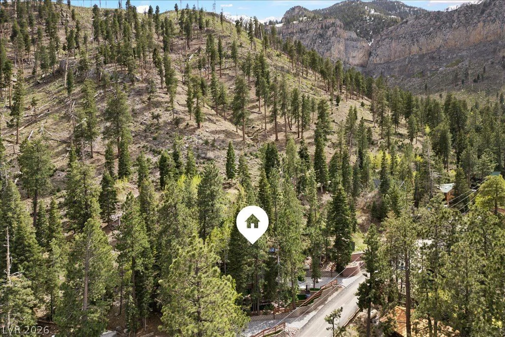 4125 Tyrol, Mount Charleston, NV 89124