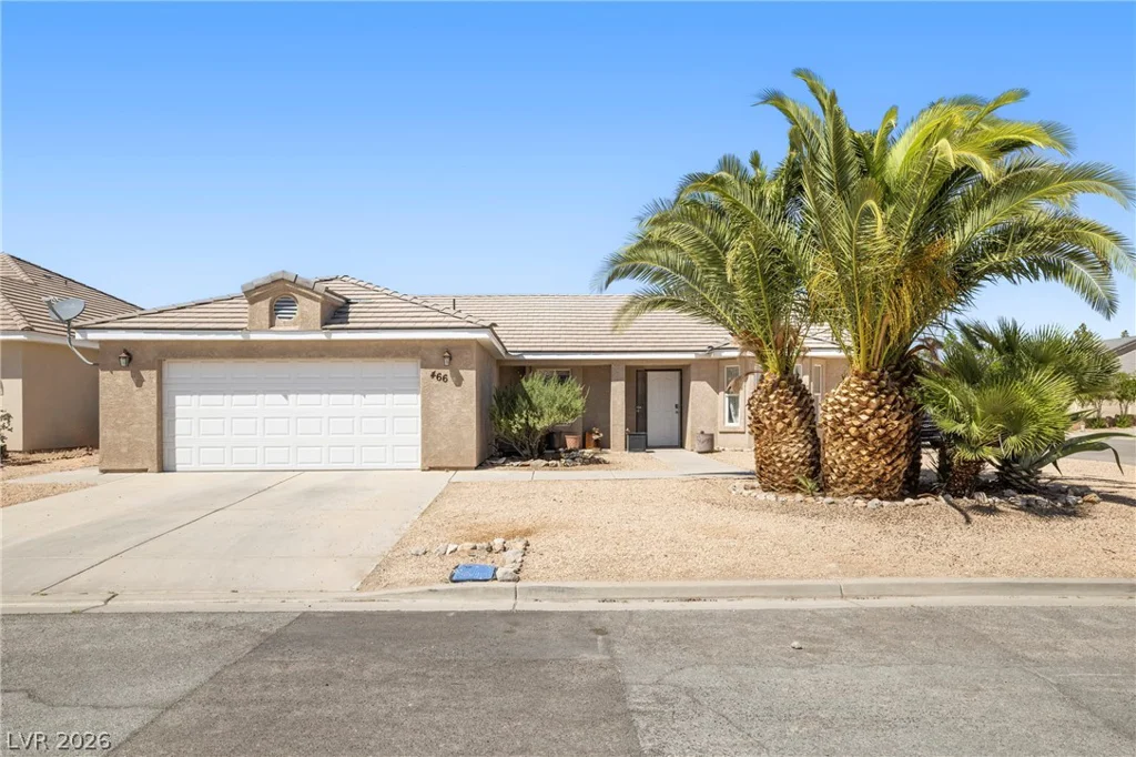 466 Muddy Peak, Overton, NV 89040