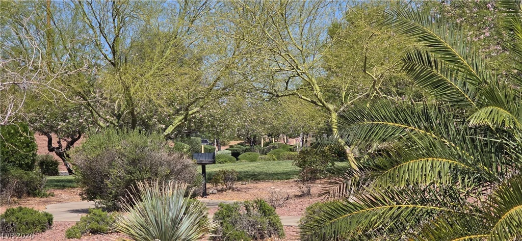 67 Desert Coyote, Henderson, NV 89012