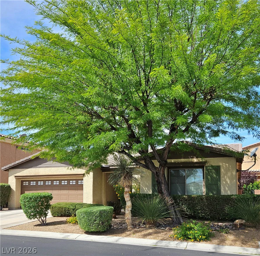 10571 Aloe Springs, Las Vegas, NV 89179