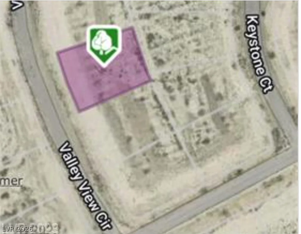 1991 Valley View, Pahrump, NV 89048