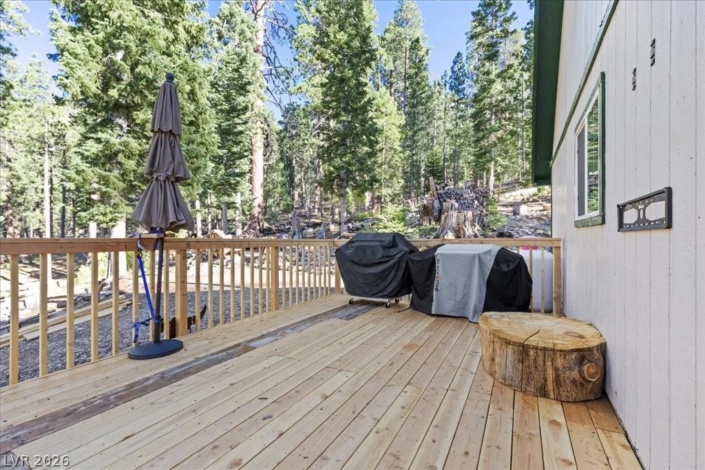 525 Snow Fall, Mount Charleston, NV 89124