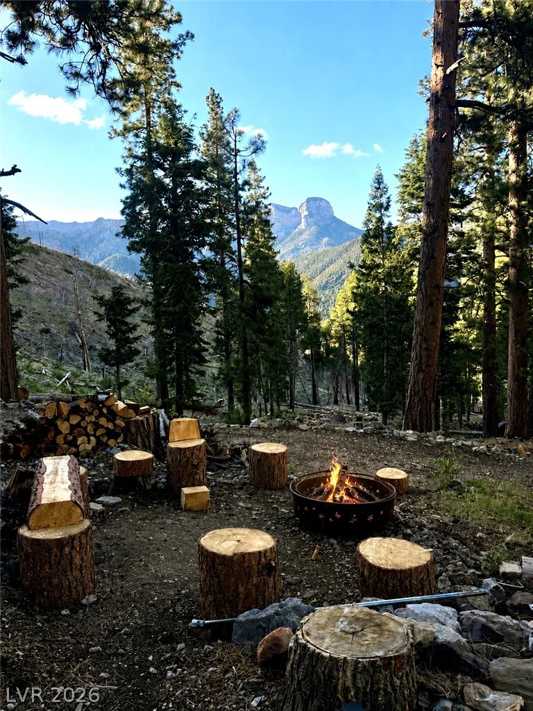 525 Snow Fall, Mount Charleston, NV 89124