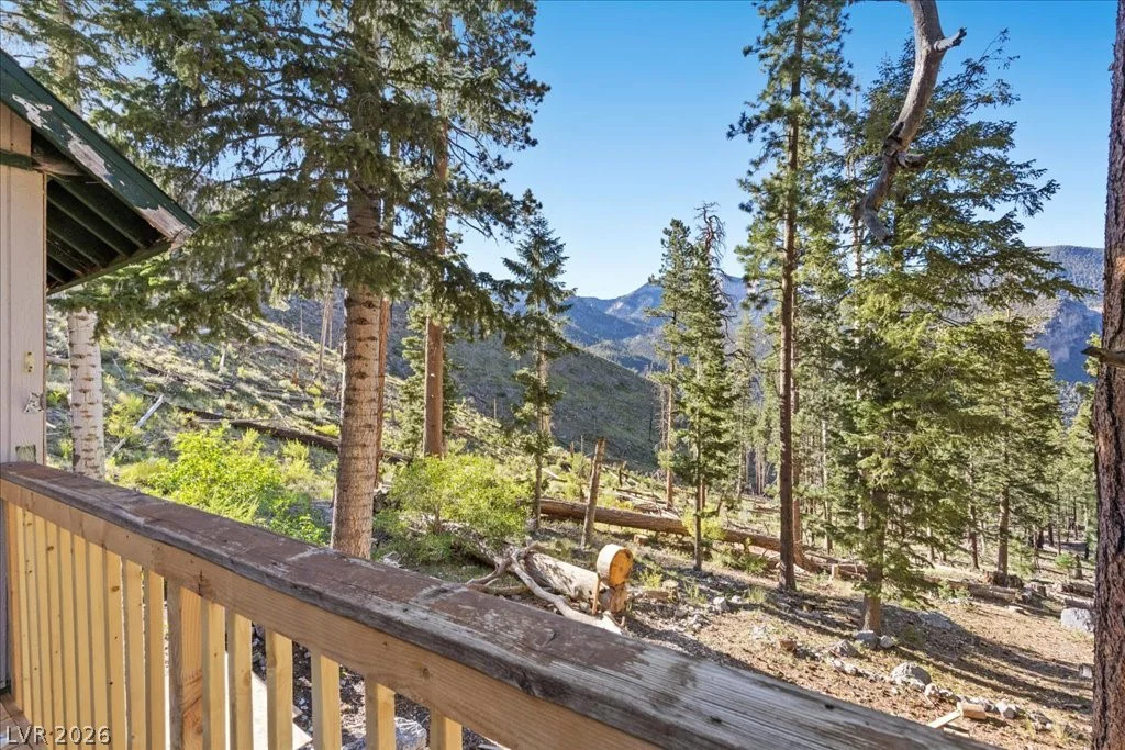 525 Snow Fall, Mount Charleston, NV 89124