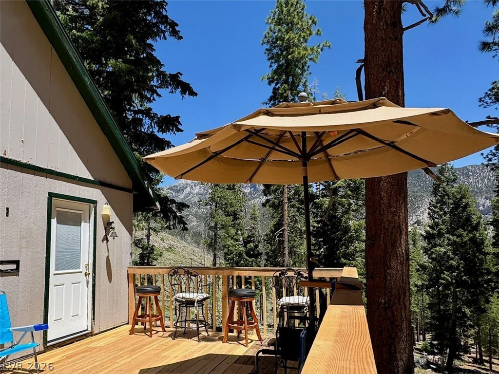 525 Snow Fall, Mount Charleston, NV 89124