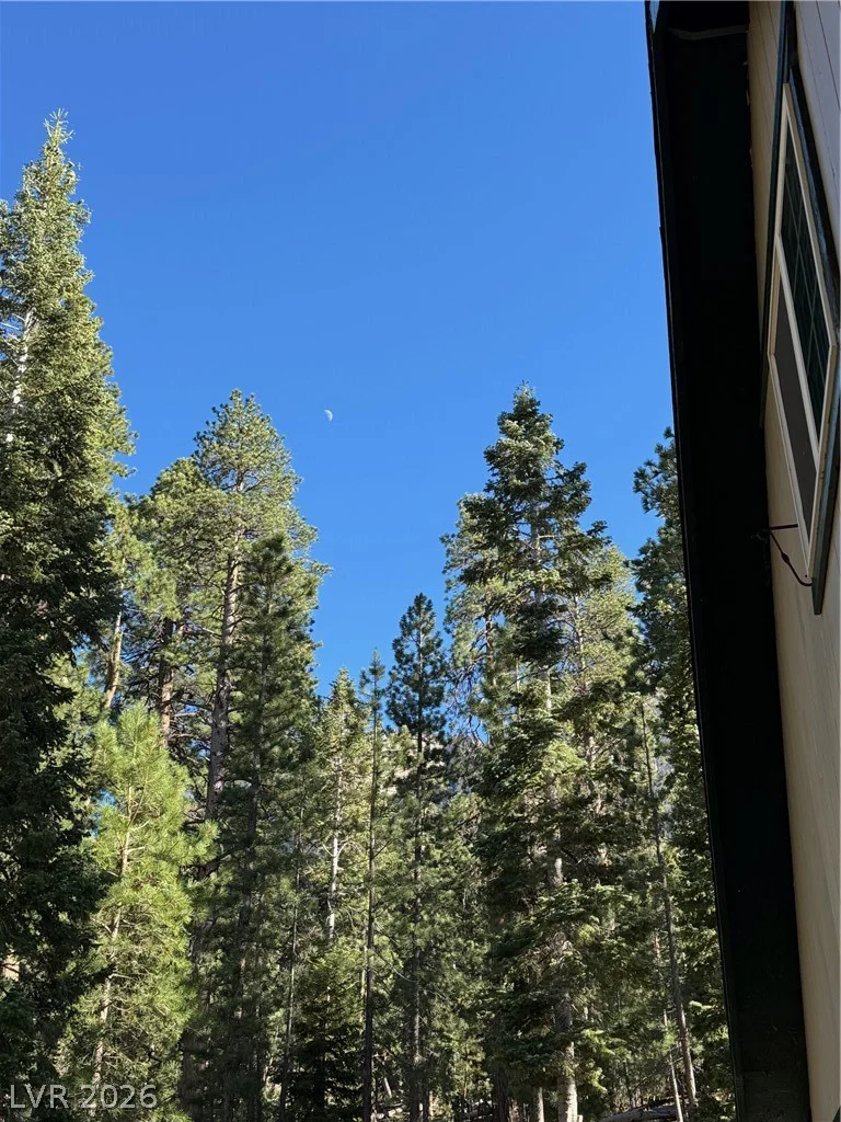 525 Snow Fall, Mount Charleston, NV 89124
