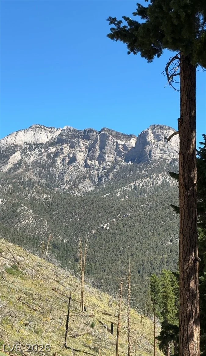 525 Snow Fall, Mount Charleston, NV 89124