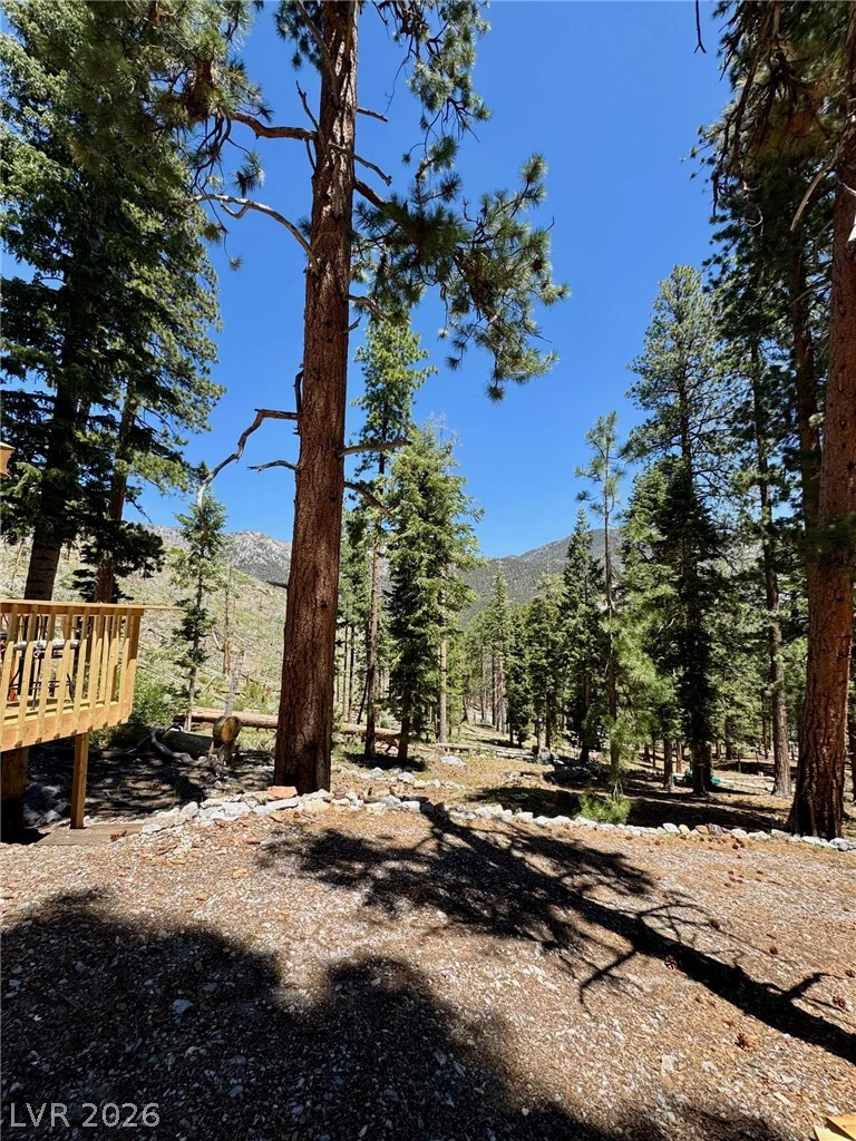 525 Snow Fall, Mount Charleston, NV 89124