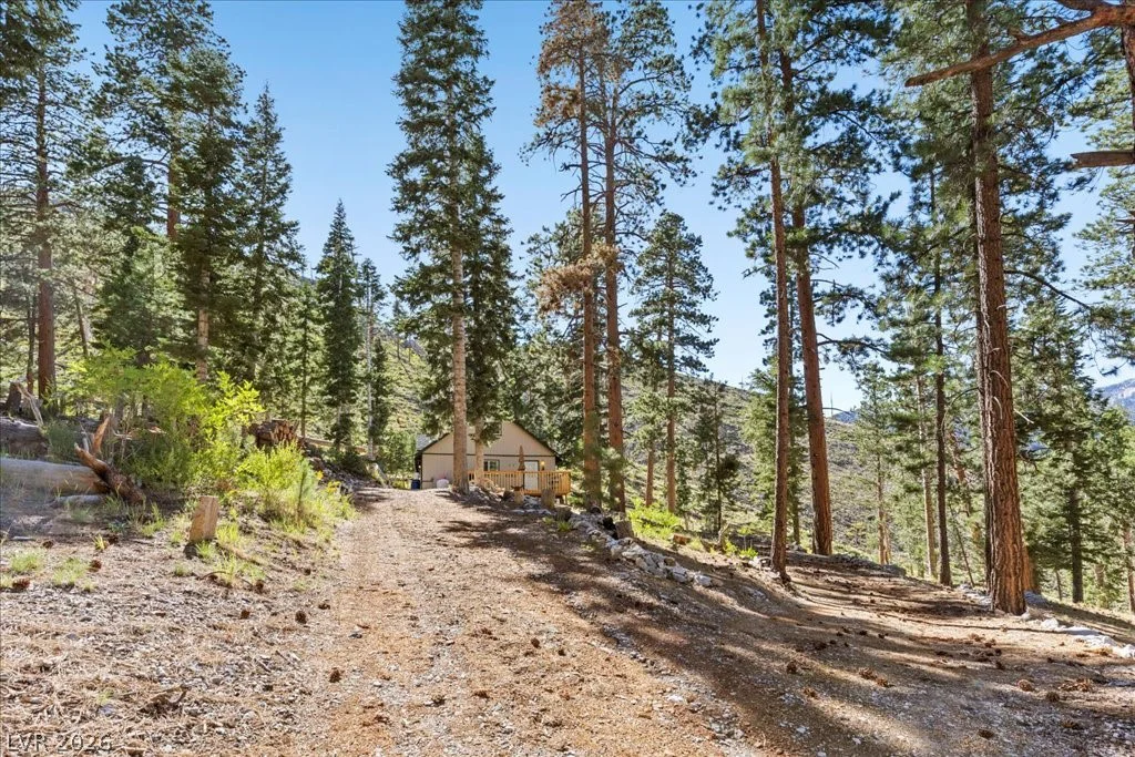 525 Snow Fall, Mount Charleston, NV 89124