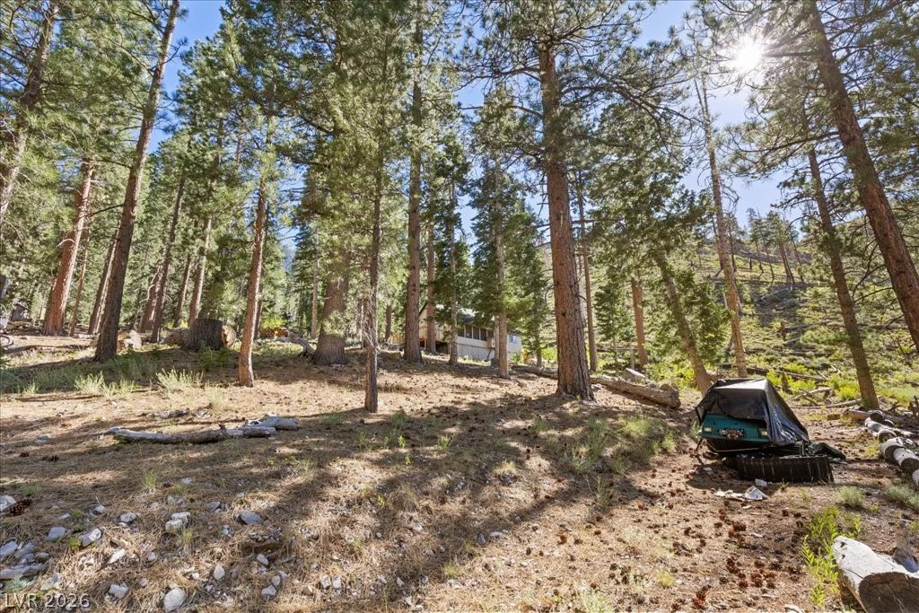 525 Snow Fall, Mount Charleston, NV 89124