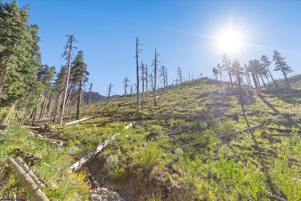 525 Snow Fall, Mount Charleston, NV 89124