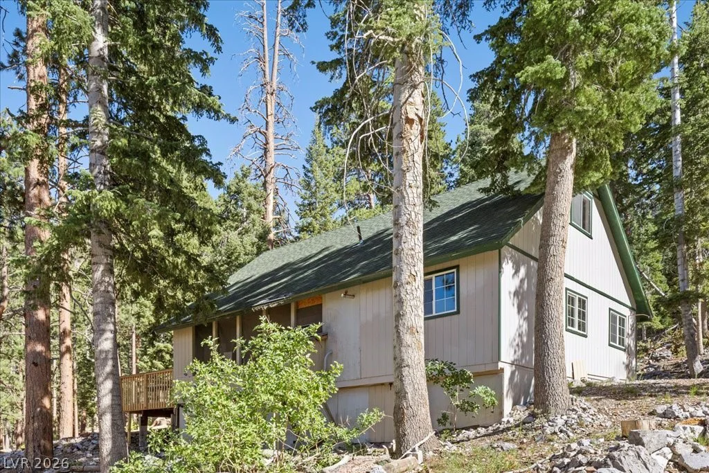 525 Snow Fall, Mount Charleston, NV 89124