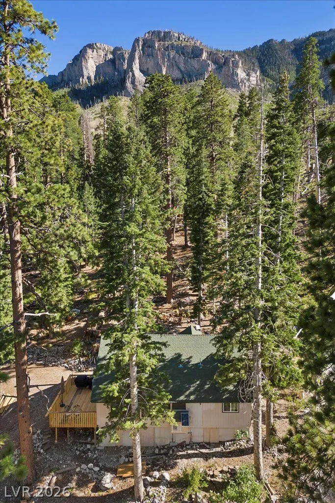 525 Snow Fall, Mount Charleston, NV 89124