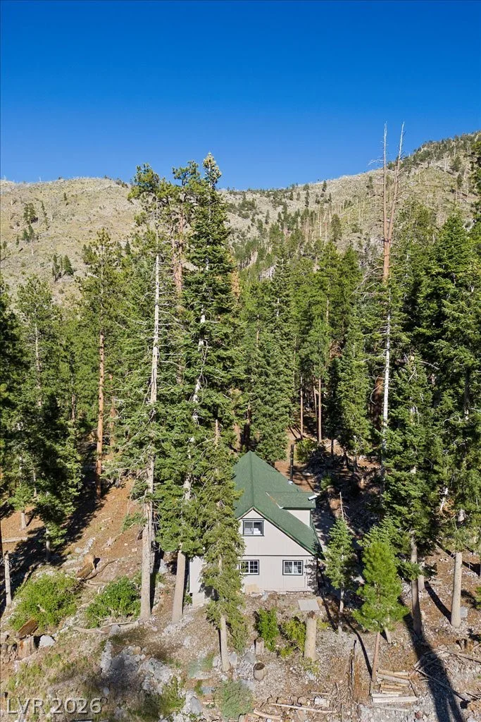 525 Snow Fall, Mount Charleston, NV 89124