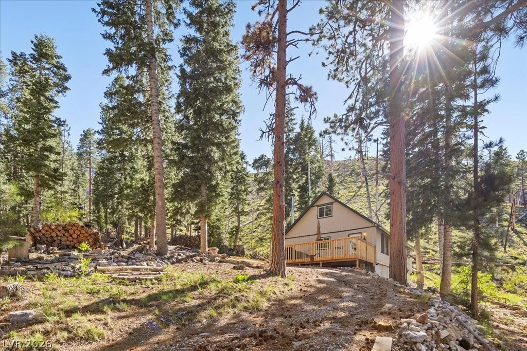 525 Snow Fall, Mount Charleston, NV 89124