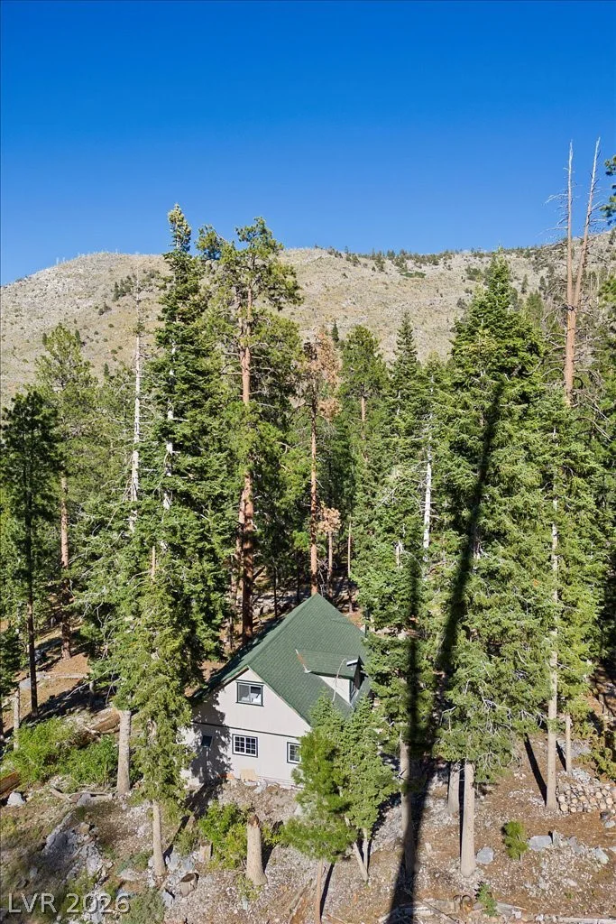 525 Snow Fall, Mount Charleston, NV 89124