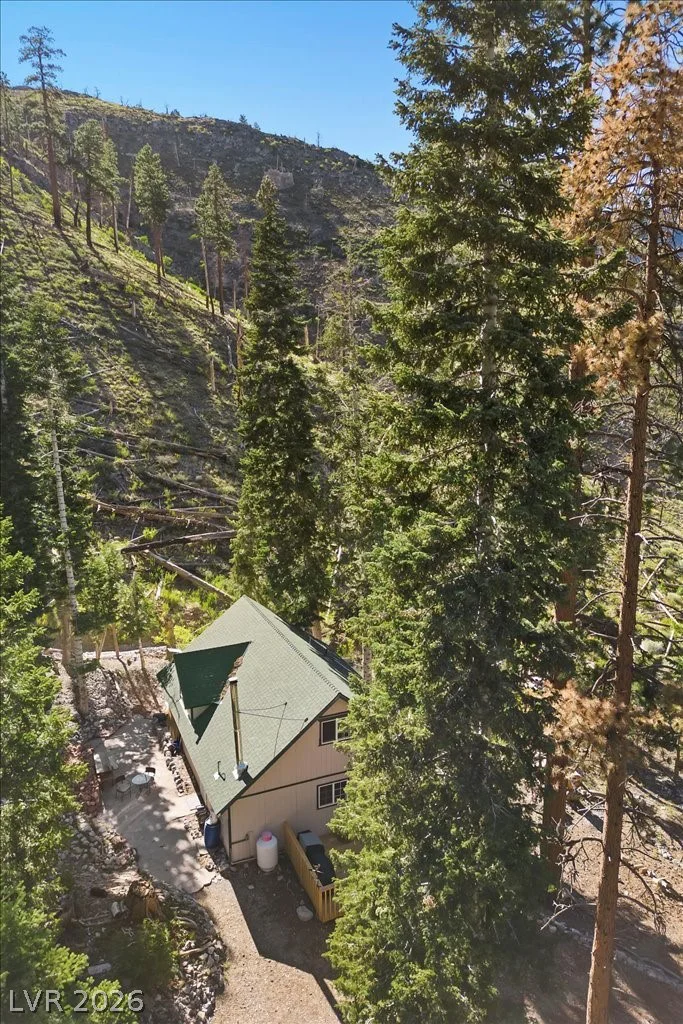 525 Snow Fall, Mount Charleston, NV 89124