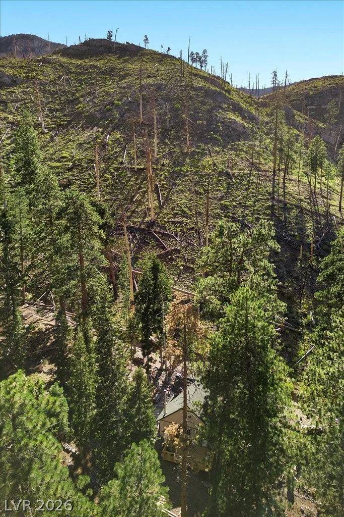 525 Snow Fall, Mount Charleston, NV 89124