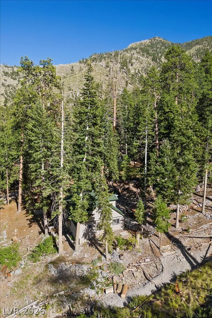 525 Snow Fall, Mount Charleston, NV 89124