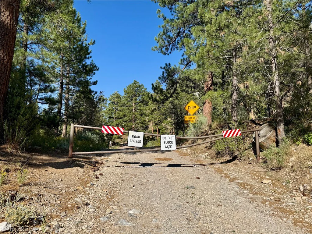 525 Snow Fall, Mount Charleston, NV 89124