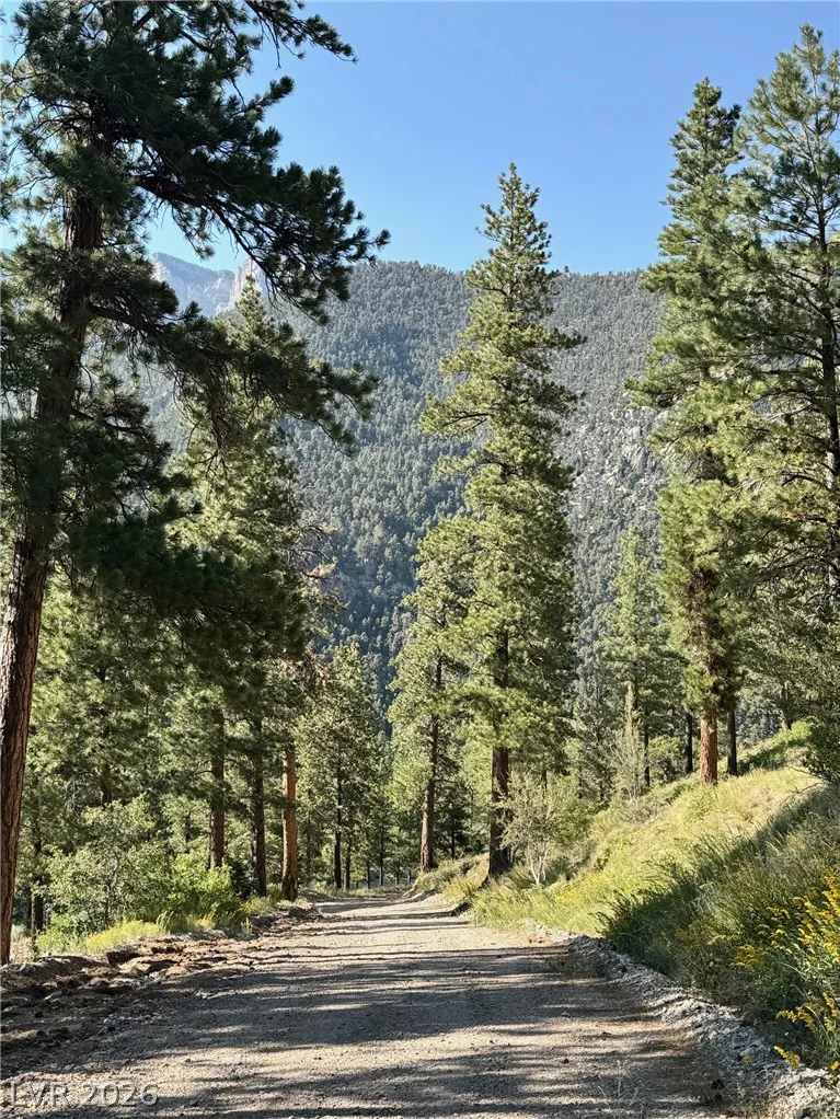 525 Snow Fall, Mount Charleston, NV 89124