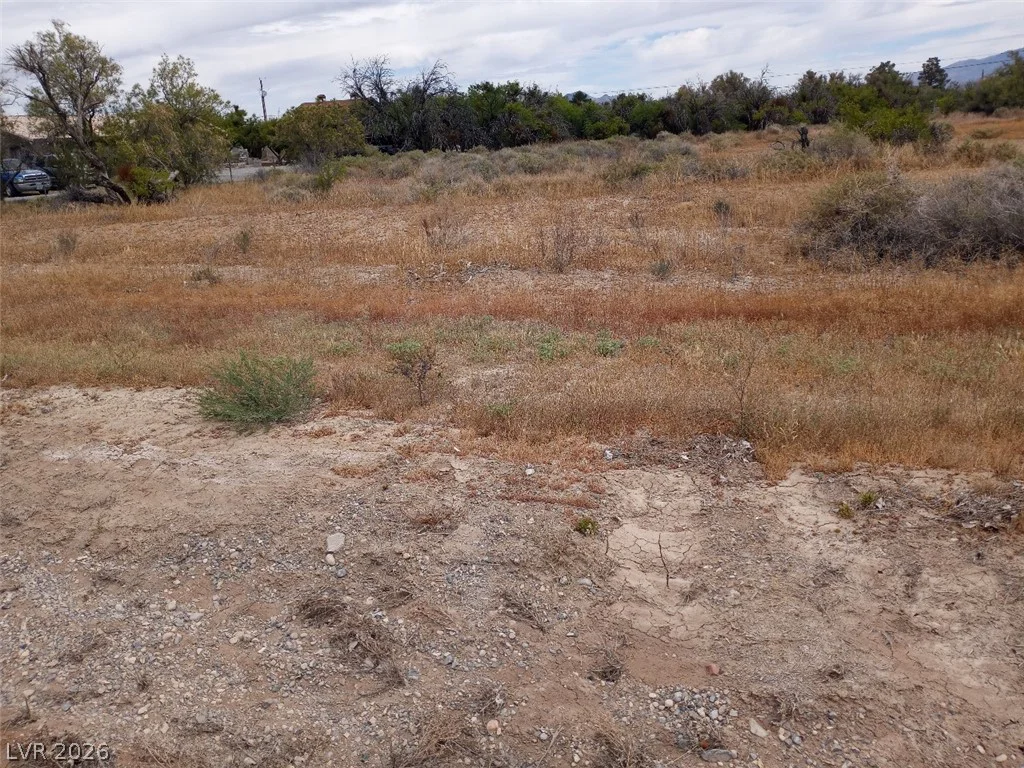 760 Calvada, Pahrump, NV 89048