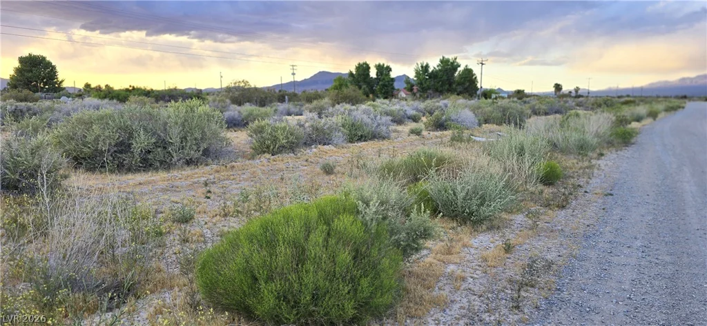 120 Abilene, Pahrump, NV 89060
