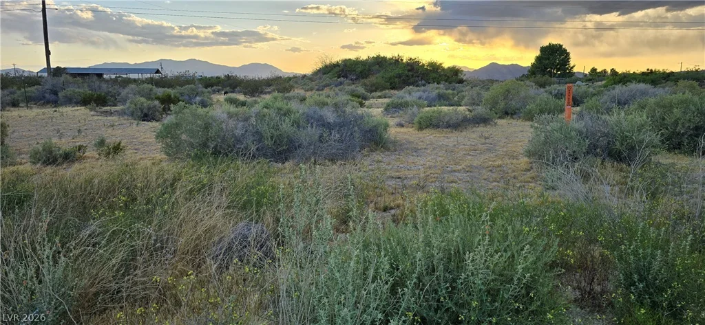 120 Abilene, Pahrump, NV 89060