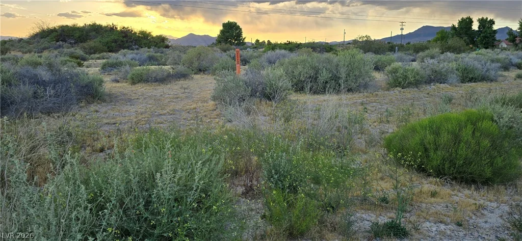 120 Abilene, Pahrump, NV 89060