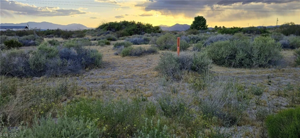 120 Abilene, Pahrump, NV 89060