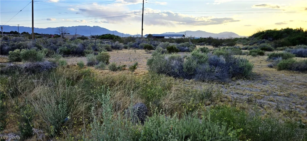 120 Abilene, Pahrump, NV 89060
