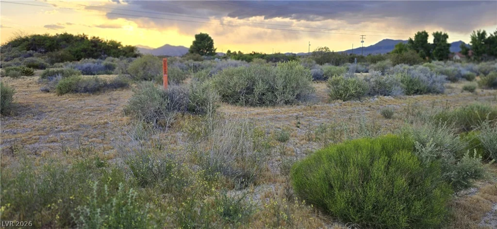 120 Abilene, Pahrump, NV 89060