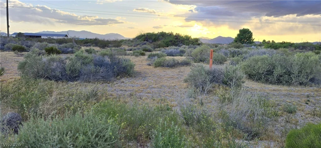 120 Abilene, Pahrump, NV 89060