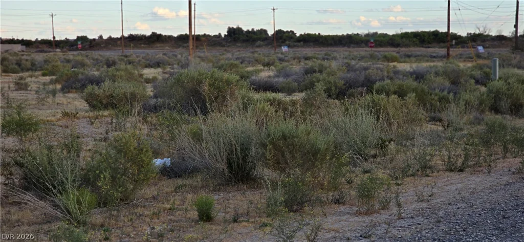 120 Abilene, Pahrump, NV 89060