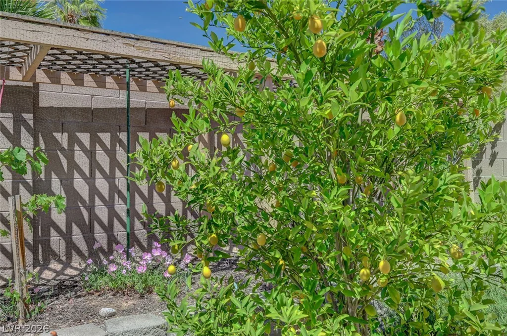 8738 Vista Cantera, Las Vegas, NV 89147