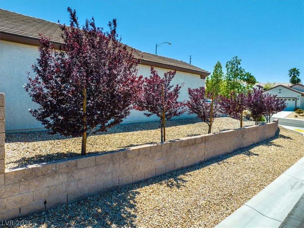 2592 Red Planet, Henderson, NV 89044