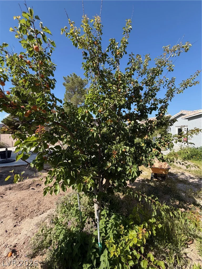 5033 Crystal Breeze, North Las Vegas, NV 89031