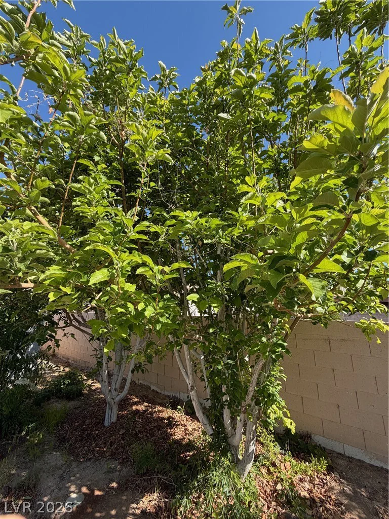 5033 Crystal Breeze, North Las Vegas, NV 89031