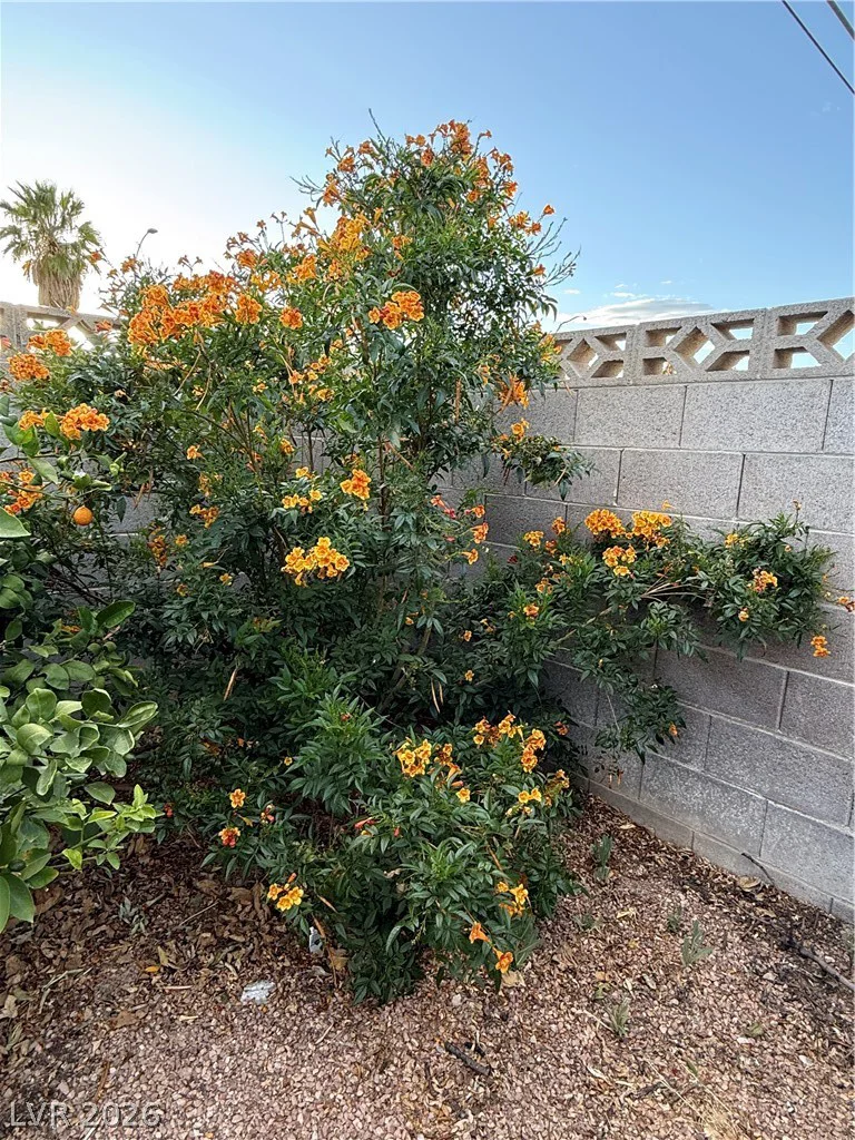 5313 Lambrook, Las Vegas, NV 89130