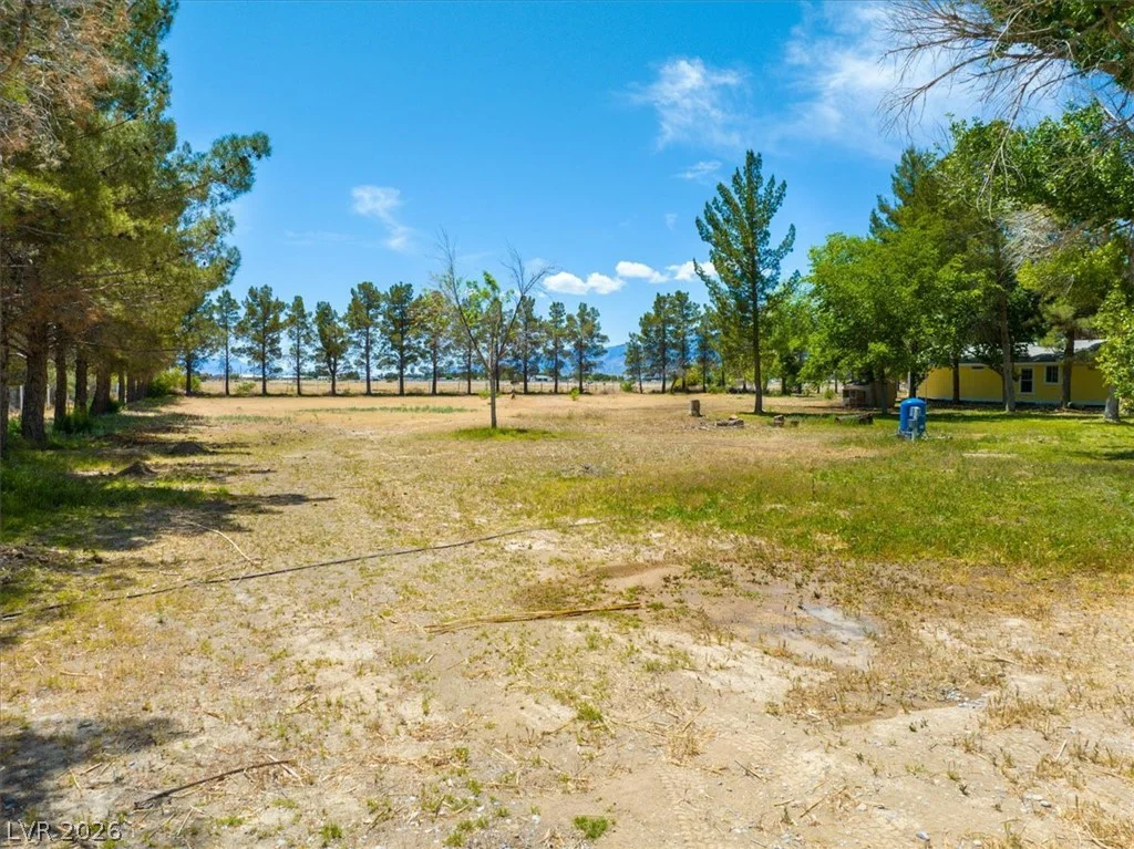 5220 Squaw Valley *5 ACRES*, Pahrump, NV 89061