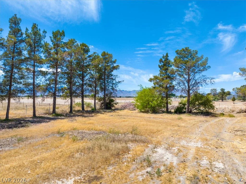 5220 Squaw Valley *5 ACRES*, Pahrump, NV 89061
