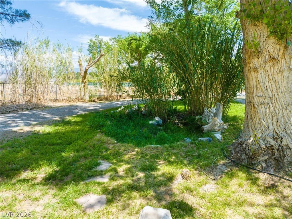 5220 Squaw Valley *5 ACRES*, Pahrump, NV 89061