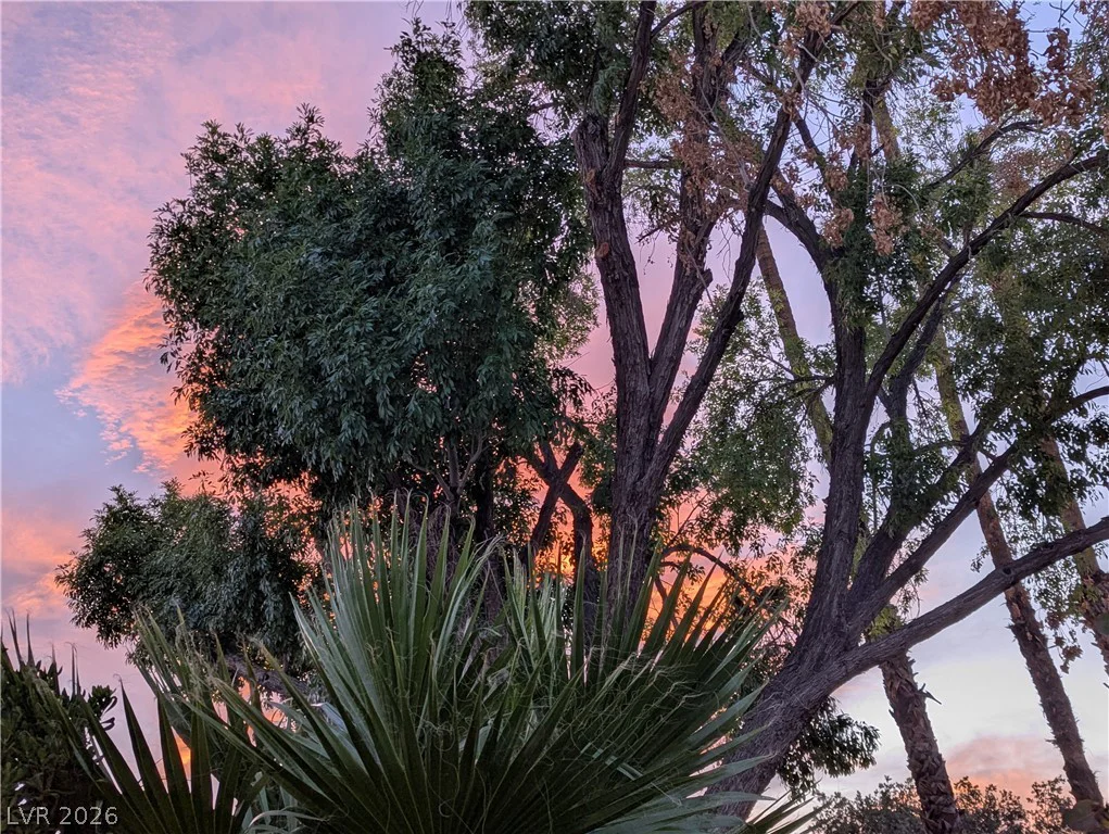 2684 San Lago, Las Vegas, NV 89121